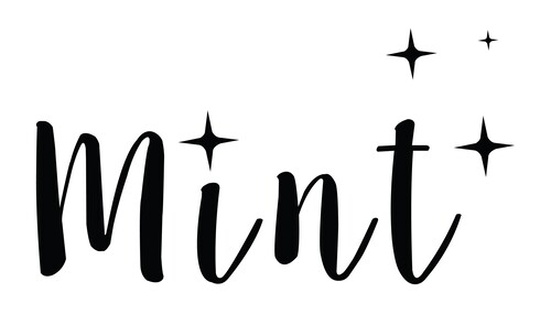 Mint Cleaning Products logo